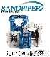 (yng)(gu)ٰ۵(dng)ĤãSANDPIPER(dng)ĤãЇ(gu)